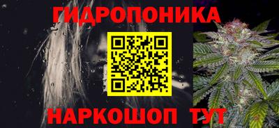 ПСИЛОЦИБИНОВЫЕ ГРИБЫ Можга